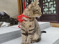 -古大圣慈寺