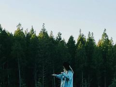 -黄海国家森林公园