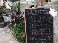 -有猫主题·治愈系猫咖(曾厝垵店)