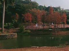 -云溪植物园