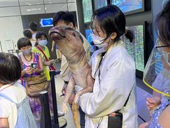 -侏罗纪世界电影特展(广州站)