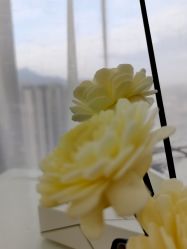 -韩美绣野生眉纹眉洗眉连锁店