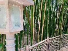-广州兰圃