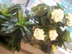 -博纳国际影城(淄博店)