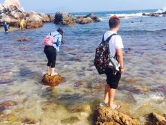 -西涌国际滨海旅游区