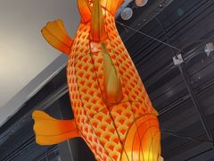 -向川南·水煮鱼·川菜(和平里店)