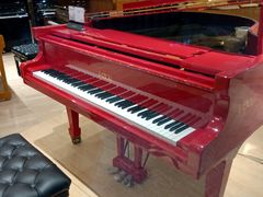 -柏斯音乐艺术中心·钢琴·吉他(世纪金源店)