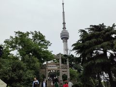-龟山风景区-龟山电视塔