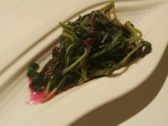 -西郊5号·Maggie 5