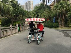 -碧桂园十里银滩