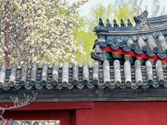 -北京艺术博物馆(万寿寺)