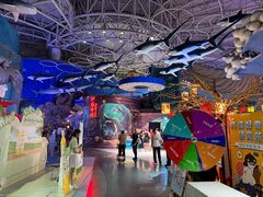 -烟台海昌鲸鲨海洋公园