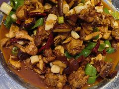 -俭寨大盘鸡·缸子肉·小公鸡·新疆菜(云通店)