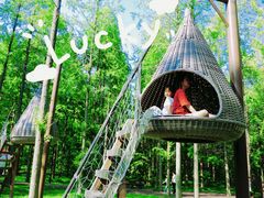 -黄海国家森林公园