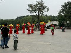 -塘沽森林公园