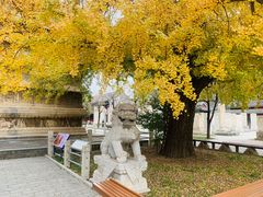 -北京石刻艺术博物馆(五塔寺)