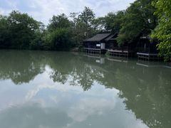 -西溪国家湿地公园