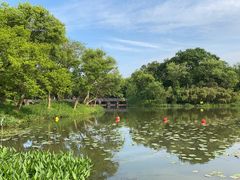 -西溪国家湿地公园