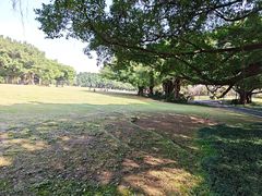-南宁南湖公园