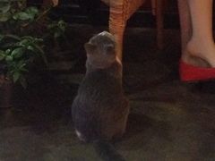 Mikaku-MIKAKU(万达广场上海宝山店)