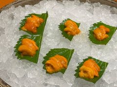 -月龍吟(朝龙汇店)