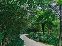 -美兰湖景区