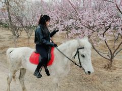 -丹世红酒庄·烧烤·团建·婚礼·水上运动