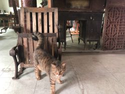 -游刃刺青TATTOO纹身工作室