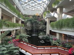 -广州白天鹅宾馆