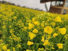 -中国天府农业博览园