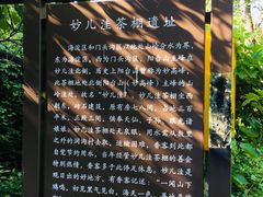 -阳台山自然风景区