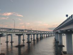 -星海湾跨海大桥