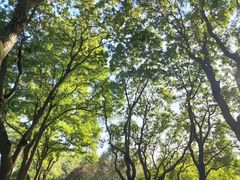 -玲珑塔公园