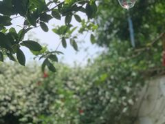 -花间酒庭院餐厅(谷山店)