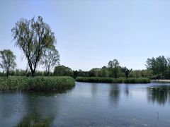 -大兴滨河森林公园