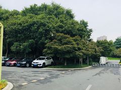-青枫公园