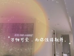 -紫御国际抗衰ZOE ANTI AGING