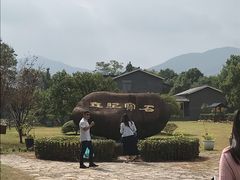 -陶祖圣境风景区