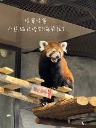 -Zoolung Zoolung动物主题公园(海信广场店)