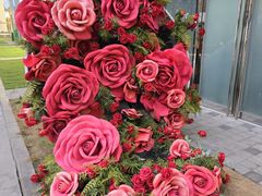 -映水芙蓉(长宁来福士店)
