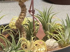 -虹御轩·传承江浙菜(虹桥店)