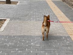 -绿叶子超市(公园大道店)