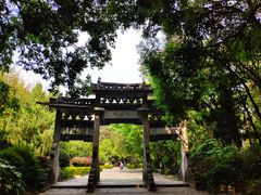 -蝴蝶泉公园