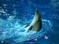 -苏州海洋馆
