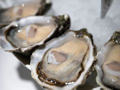 -Oyster Talks 四度蚝法餐厅