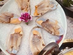 -禄婶鸡煲·打边炉