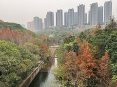 -重庆彩云湖湿地公园