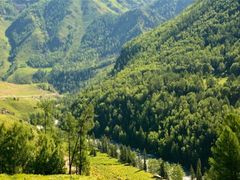 -阿达西新疆餐厅(西北大学店)