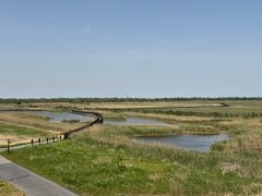 -盐城丹顶鹤湿地生态旅游区