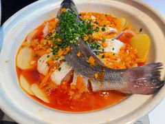 -樽宴酒楼·地道川菜·品质聚会·生日宴请